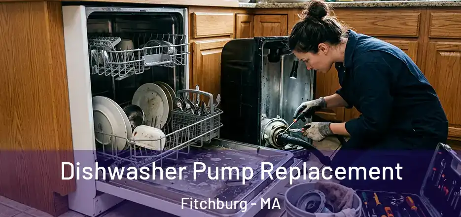 Dishwasher Pump Replacement Fitchburg - MA