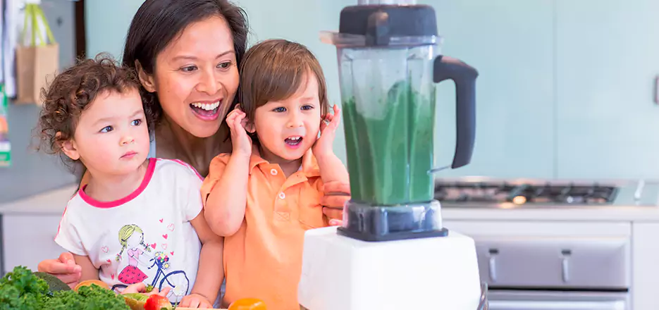 Juicer and Mixer Blender Repair in Fitchburg