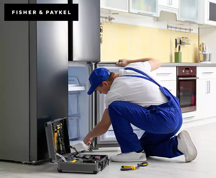Top-Rated Fisher & Paykel Appliance Experts: Your Brand Specialist in Fitchburg, MA